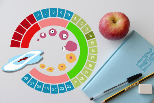 CONOCE TU CICLO MENSTRUAL: CONÓCETE A TI MISMA