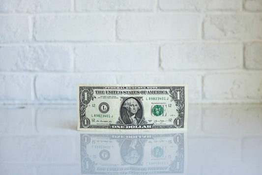 ¿QUÉ ES Y QUÉ PROPONE LA ECONOMÍA FEMINISTA?