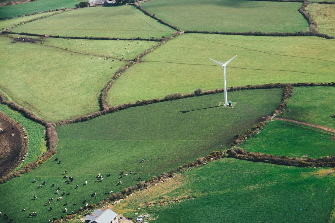 POBREZA ENERGÉTICA Y GÉNERO